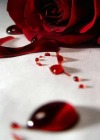 Pervert Blood