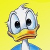 Duck12